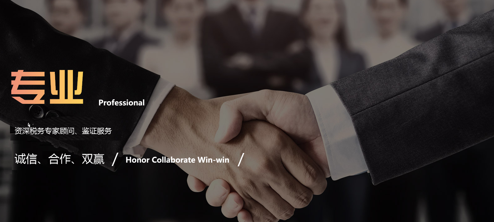  九江诚庐税务师事务所有限公司